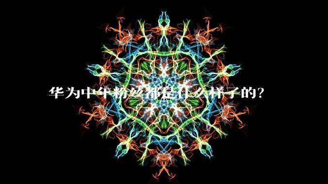 华为中年粉丝都是什么样子的？