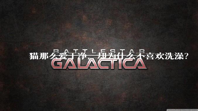 猫那么爱干净，却为什么不喜欢洗澡？