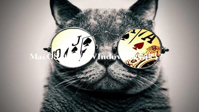 MacOS真的比Windows流畅吗？