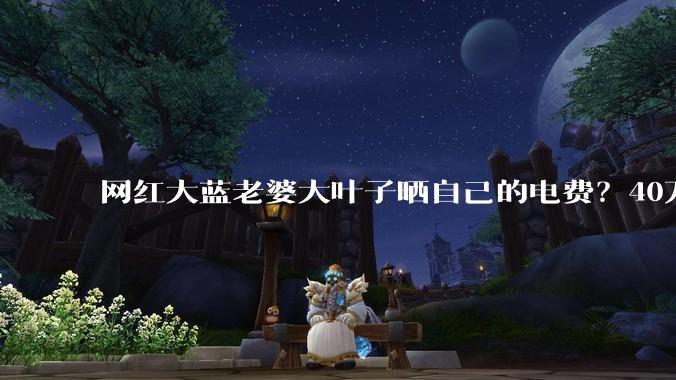 网红大蓝老婆大叶子晒自己的电费？40万每年，到底是什么概念？