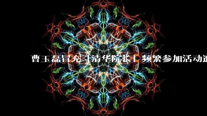 曹玉磊冒充「清华院长」频繁参加活动遭官方打***，他为何能堂而皇之以***身份开展活动？其将受到哪些处罚？