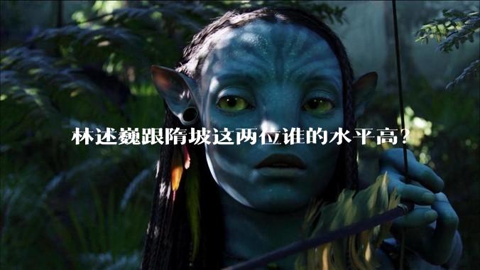 林述巍跟隋坡这两位谁的水平高？