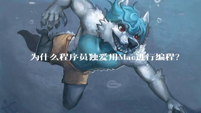 为什么程序员独爱用Mac进行编程？