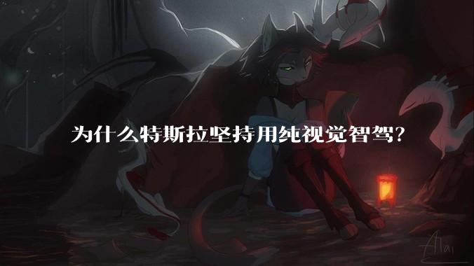 为什么特斯拉坚持用纯视觉智驾？