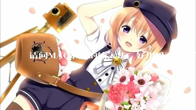 请问MAC系统的输入法，好用吗？有智能ABC吗？