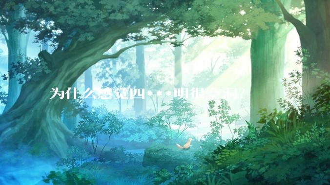 为什么感觉四***明很空洞？