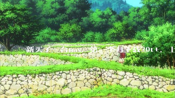 新买了一台nas，第一个月下载20t+，上传5+，不会被网警盯上吧?