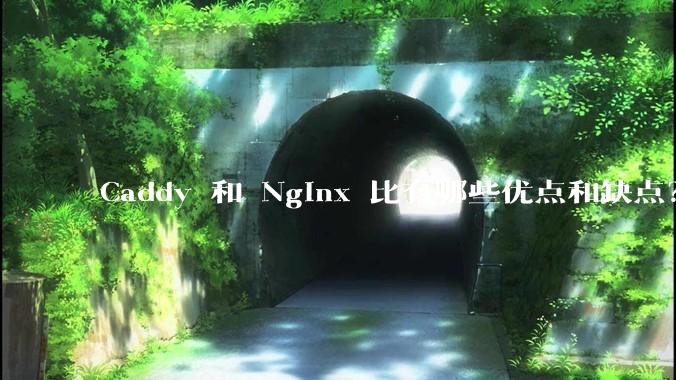 Caddy 和 Nginx 比有哪些优点和缺点？
