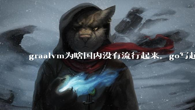 graalvm为啥国内没有流行起来，go写起来实在太恶心了，难道任凭go独霸云原生？