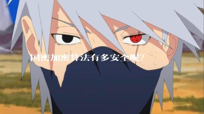 国密加密算法有多安全呢？