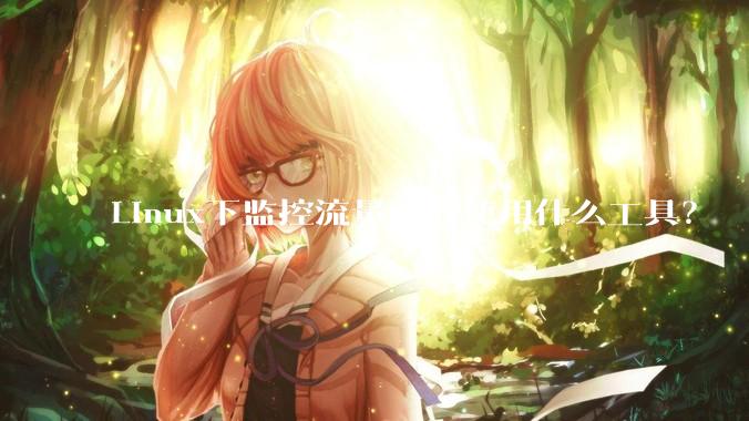 Linux下监控流量一般使用什么工具？