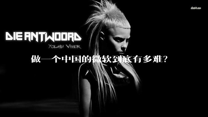 做一个中国的微软到底有多难？
