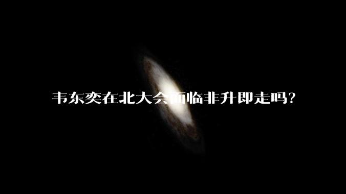 韦东奕在北大会面临非升即走吗？