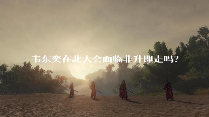 韦东奕在北大会面临非升即走吗？
