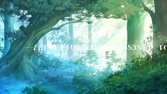 一台主机上只能保持最多 65535 个 TCP 连接吗？