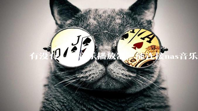 有没有一款音乐播放器，能连接nas音乐，创建音乐库，自动匹配歌词封面等等？类似infuse的概念呢？