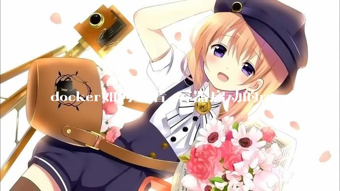 docker如何查看 容器启动的run命令？