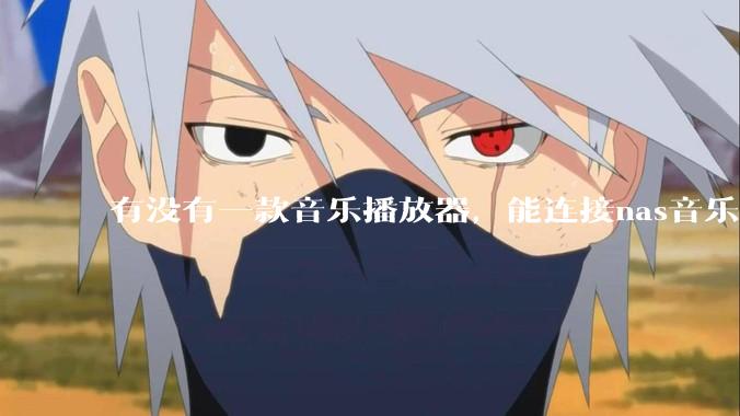 有没有一款音乐播放器，能连接nas音乐，创建音乐库，自动匹配歌词封面等等？类似infuse的概念呢？